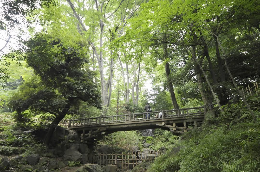 Arisugawa-no-miya Memorial Park