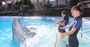 Delfinarium Selwo Marina