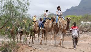 Camel Park