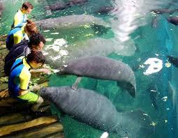 Parc zoologique Faunia