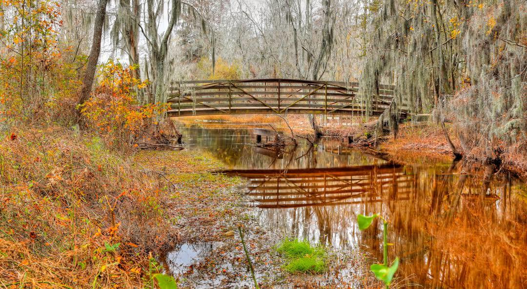 Phinizy Swamp Nature Park