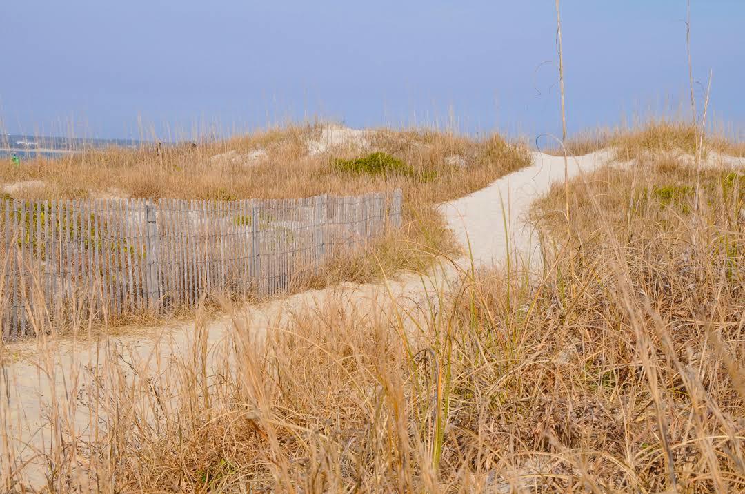 Fort Macon State Park