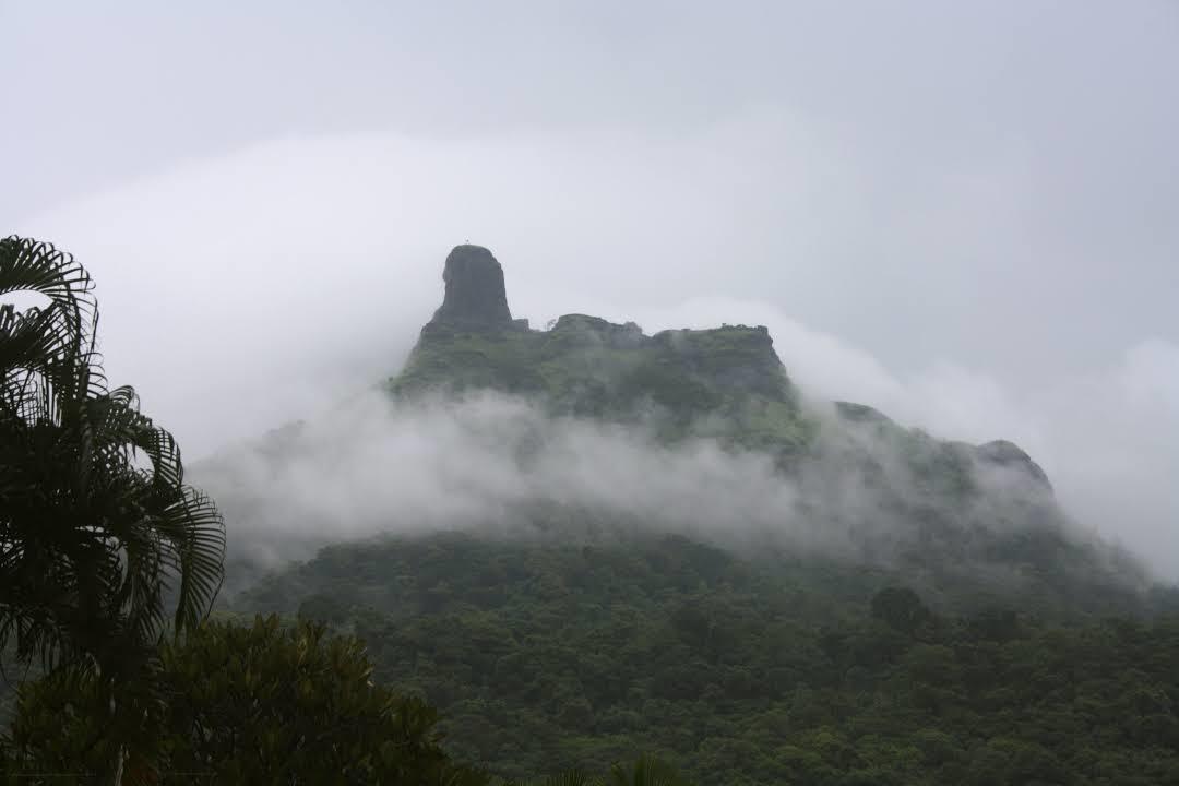 Karnala Bird Sanctuary