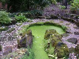 Jardin botanique de Winterbourne
