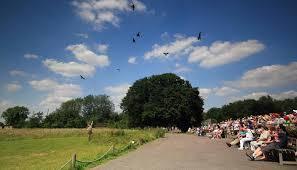 Hawk Conservancy Trust