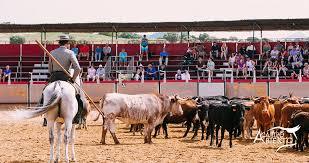 A Campo Abierto