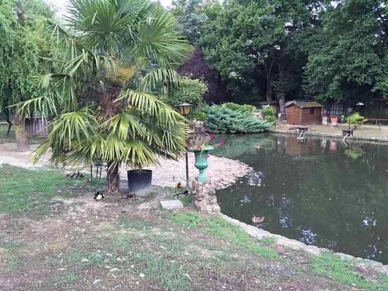 Parc Ornithologique de Bretagne