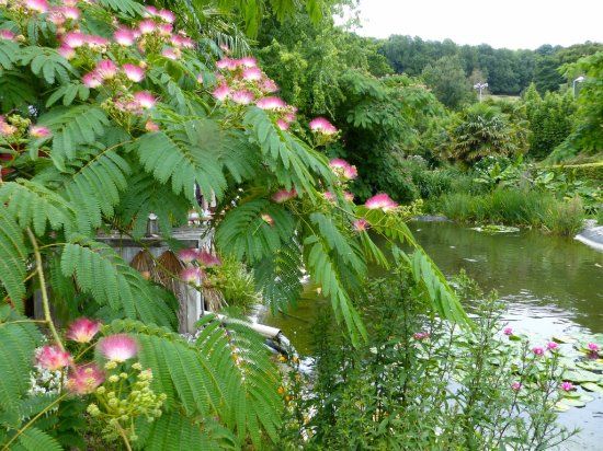 Les Jardins de Louanne