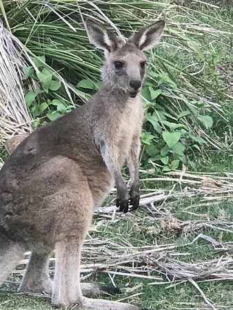 Arakoon National Park