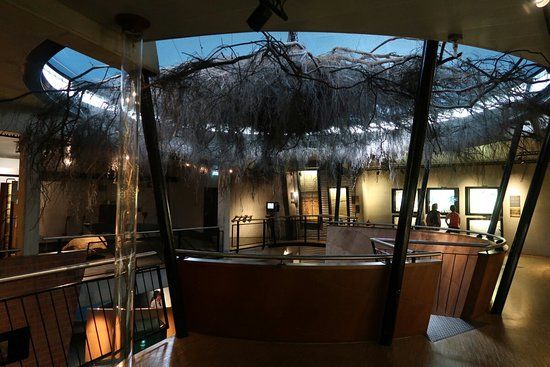 Het Museonder in Nationaal Park de Hoge Veluwe