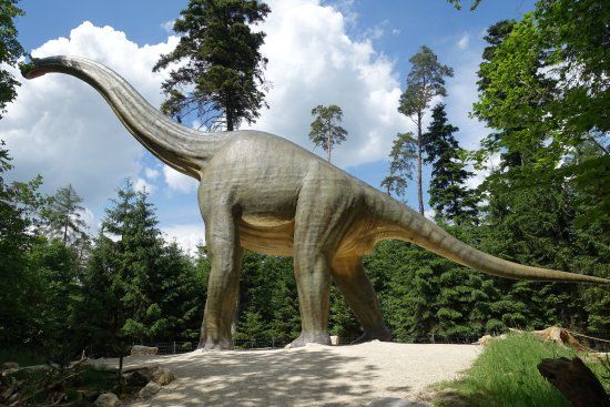 Dinosaurier Museum Altmühltal