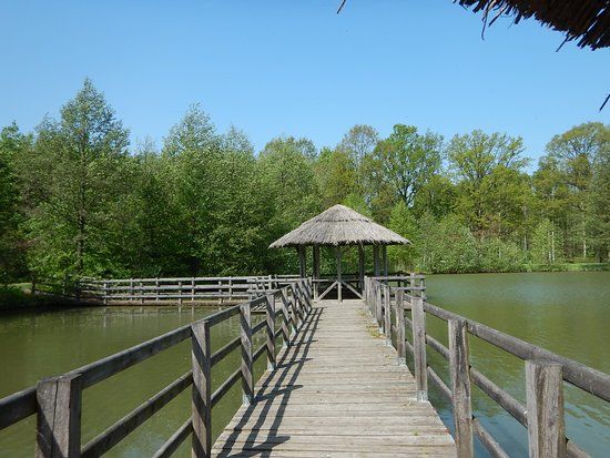 Arboretum Leśne im. Prof. Stefana Bialoboka w Nadleśnictwie Syców