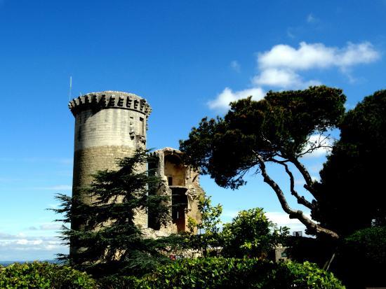 Chateau Feodal de Chateaurenard