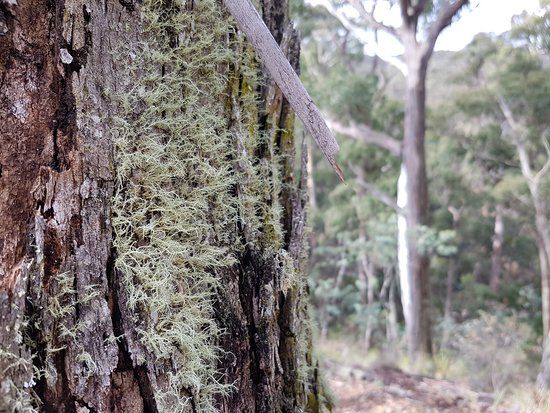 Lerderderg State Park