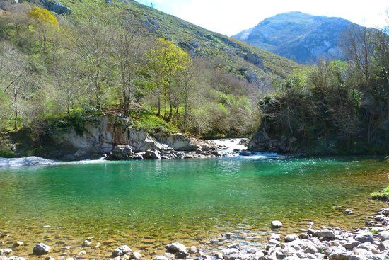 Rio Dobra