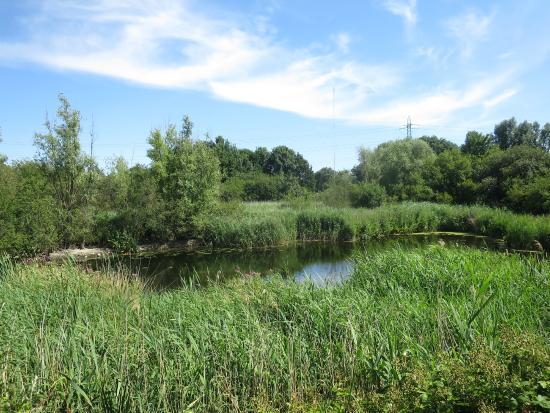 WaterWorks Centre & Middlesex Filter Beds