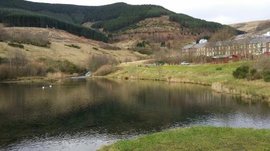 Parc Calon Lan