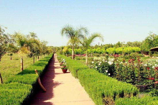 Le Paradis du Safran