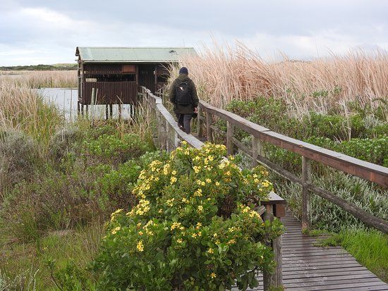 Rondevlei Nature Reserve