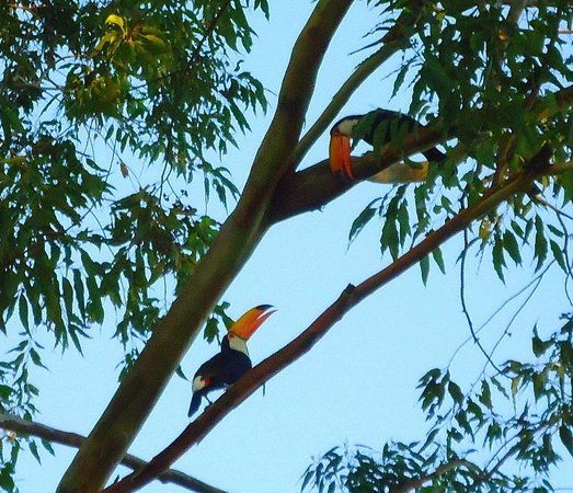 Monumento do Aviador