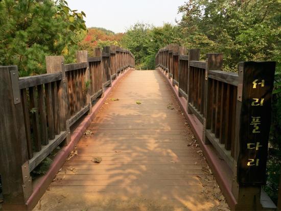 モントマッテ公園