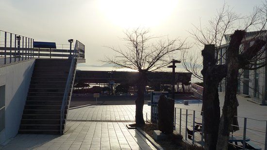 Tongyoung Fishery Science Museum