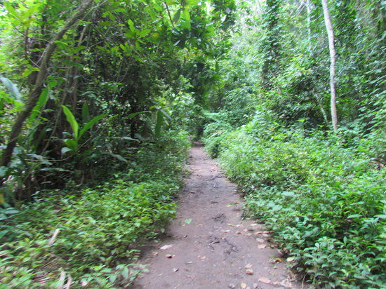 Carara National Park