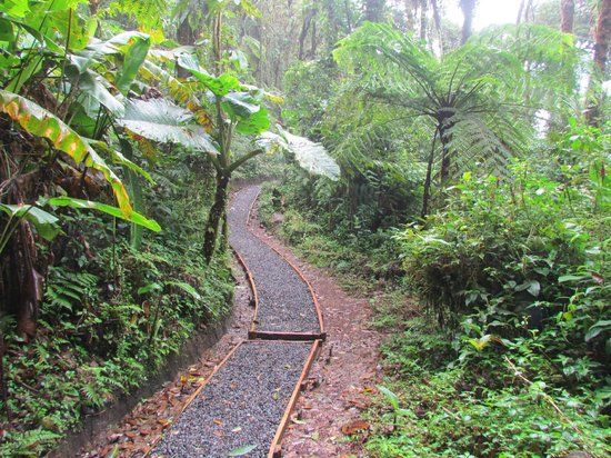 Reserva Bosque Nuboso Santa Elena