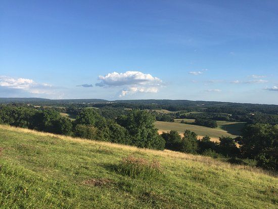 Newlands Corner