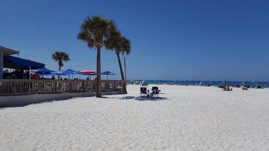 Beach Market at Coquina Beach