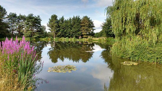 West Pitt Farm Fishery