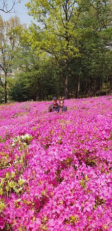 Gogang Prehistoric Relics Park