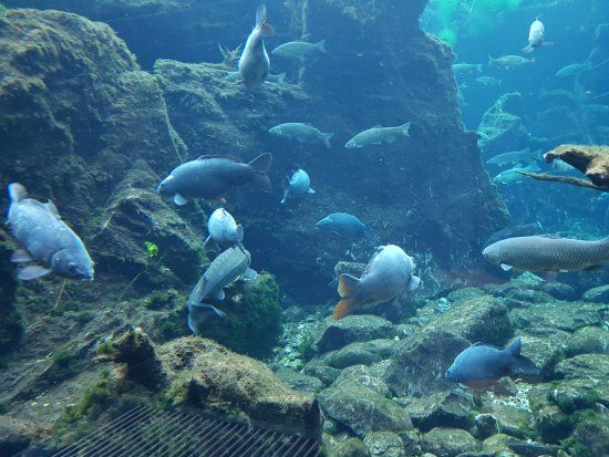 Centro Visite Stelvio Aquaprad Ulusal Parkı