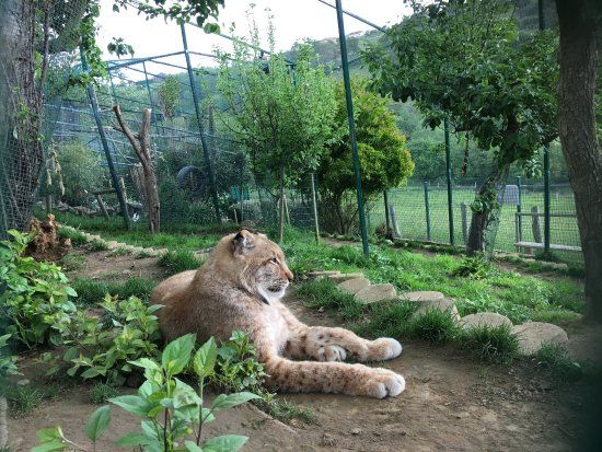 Zoológico El Bosque