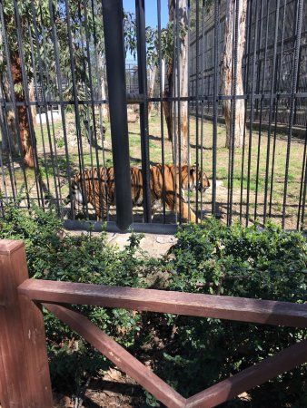 Tarsus Hayvanat Bahçesi