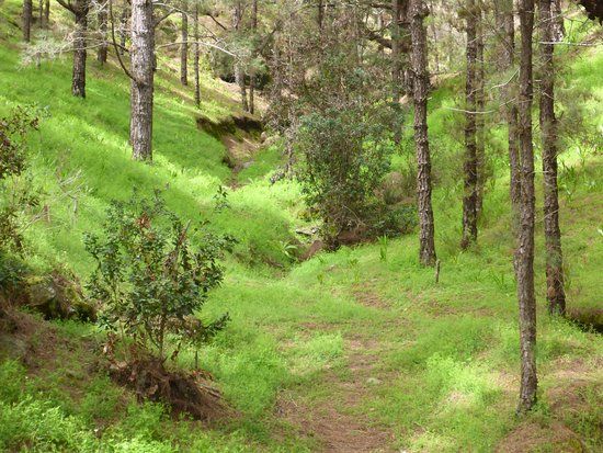 la Zona Recreativa Las Raices