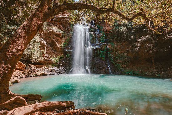 Ngare Ndare Forest Reserve