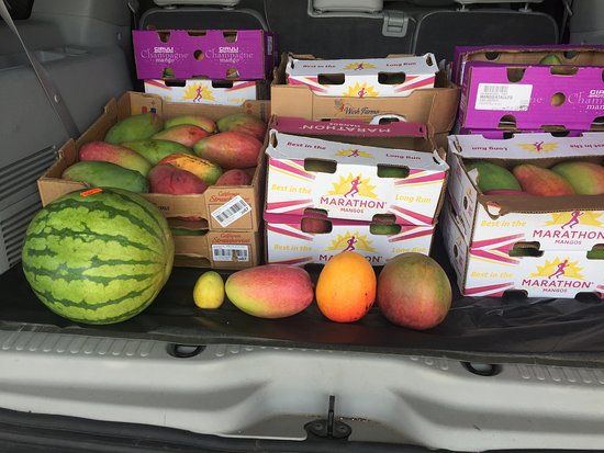 The Mango Factory