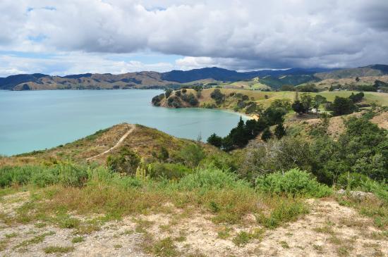 Waitawa Regional Park