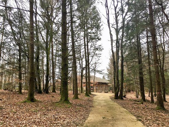 Forêt de Chabrières