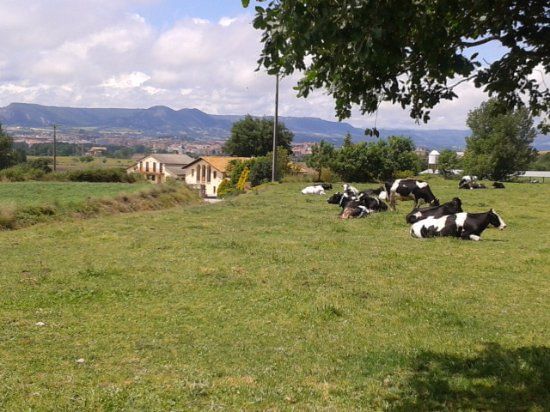 Granja Cal Rei