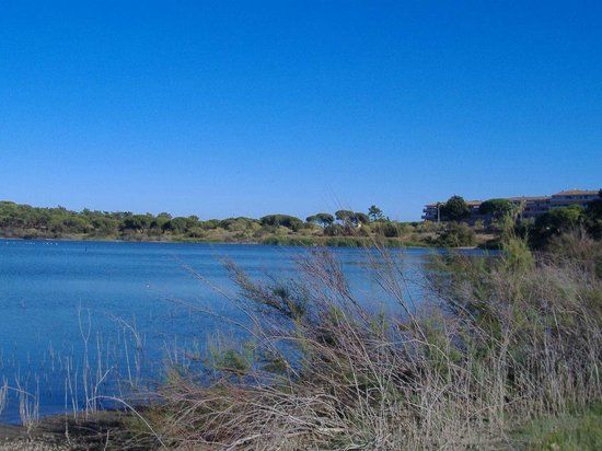 la Reserva Natural Laguna de El Portil