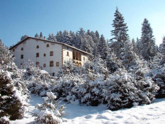 Arboretum de Masjoan