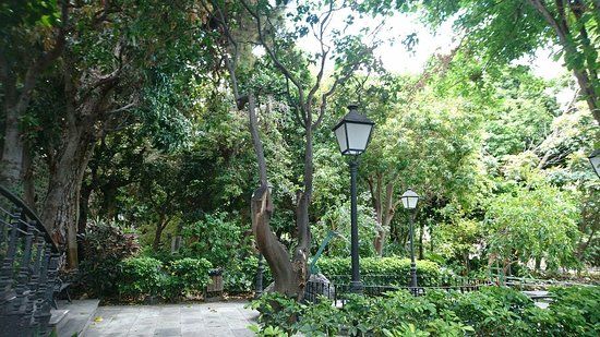 Huerto de las Flores