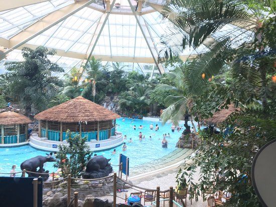 Subtropical Swimming Paradise