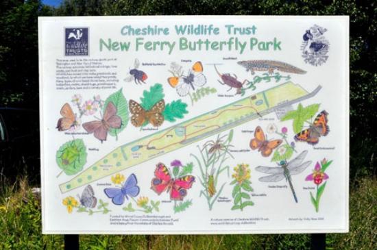 Butterfly Park