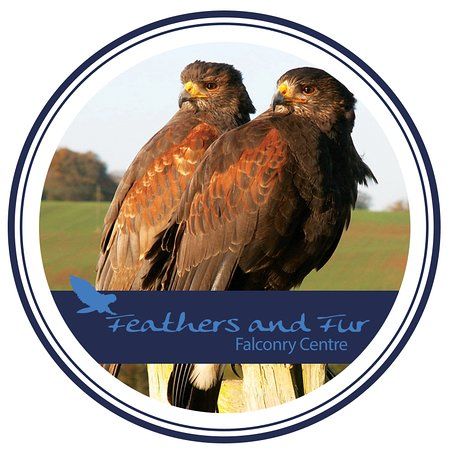 Feathers and Fur Falconry Centre