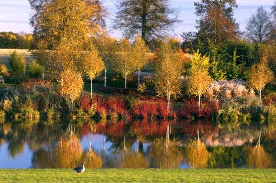 Marks Hall Gardens and Arboretum