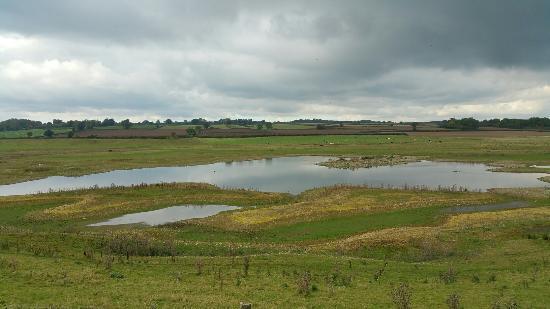 Nosterfield Nature Reserve