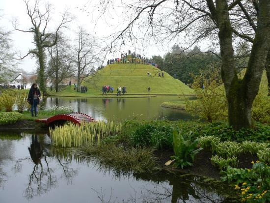 The Garden of Cosmic Speculation